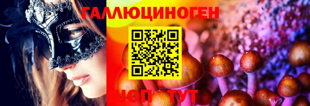 Псилоцибиновые грибы ЛСД Гай