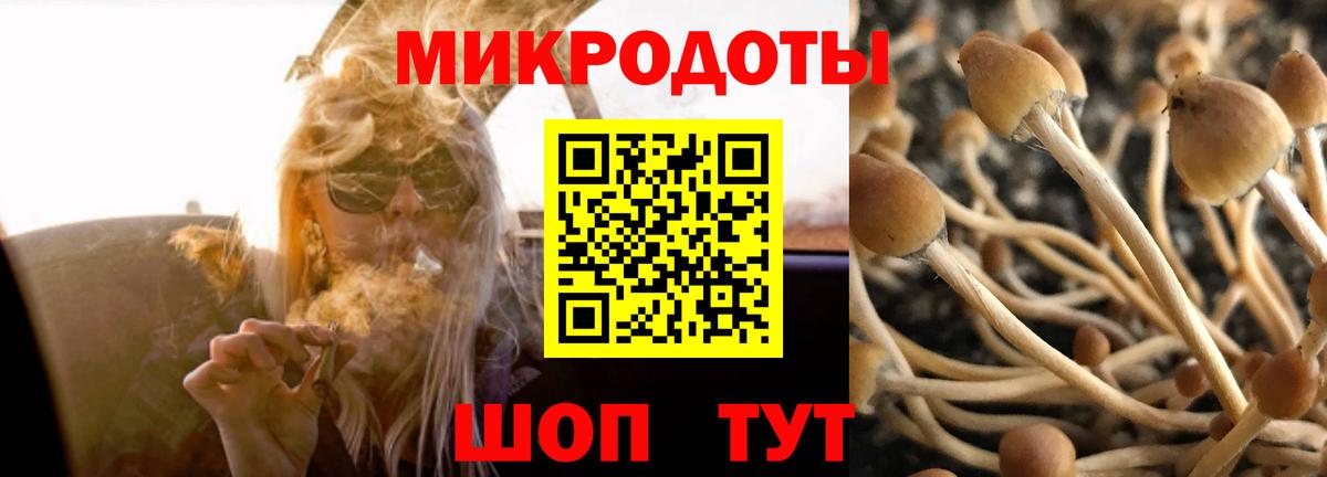 Галлюциногенные грибы мицелий  Вход с VPN  Гай  Галлюциногенные грибы MAGIC MUSHROOMS 